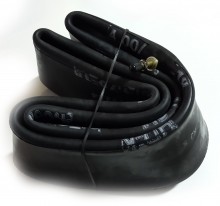 �������� ���� 19 ����